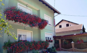 Apartman Ana Gracac